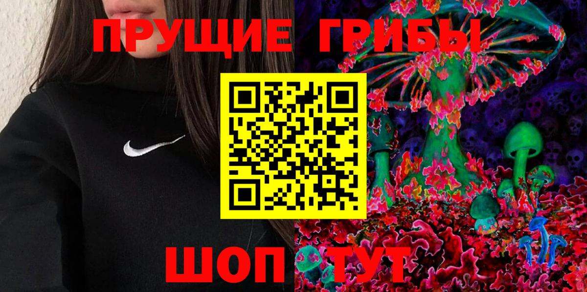 Псилоцибиновые грибы Psilocybine cubensis Губаха