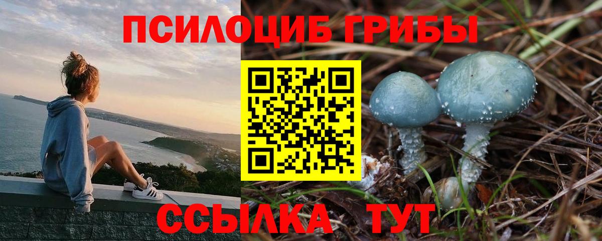 Губаха  Псилоцибиновые грибы Magic Shrooms  Вход с VPN  Псилоцибиновые грибы Cubensis 