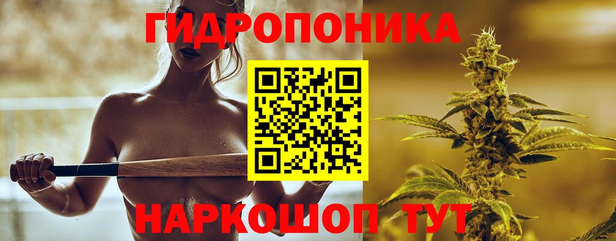Марихуана гибрид  МАРИХУАНА семена  Бошки Шишки SATIVA & INDICA  Губаха  Вход с VPN 